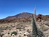 Tenerife